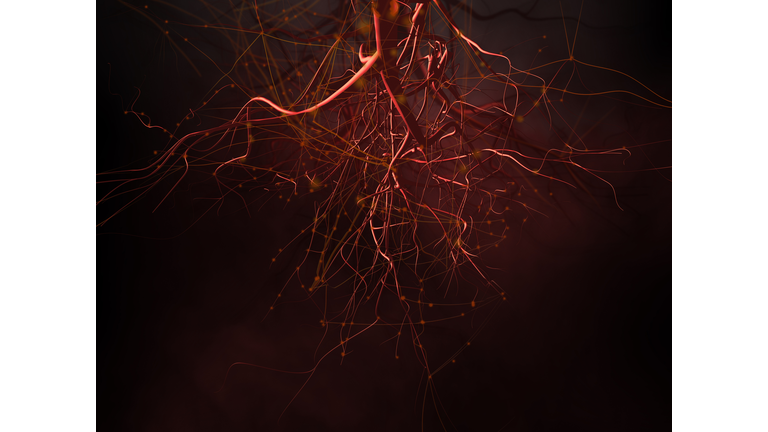 Particle Physics & Astronomy / Demonic Attacks