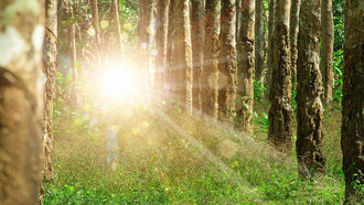 Canadian UFOs / Cryptids & Strange Phenomena