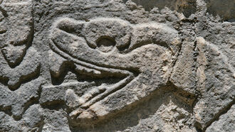 Rewiring the Brain / Symbol of the Serpent