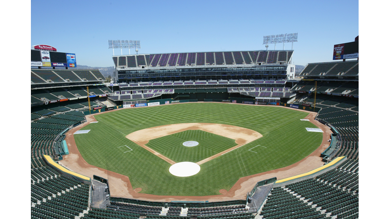 Network Associates Coliseum