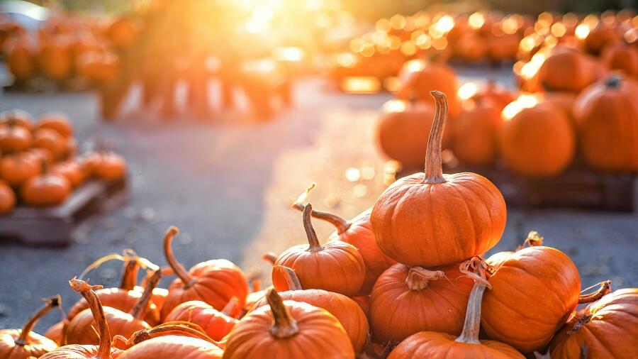 This Is Arizona's Best Fall Festival | iHeart