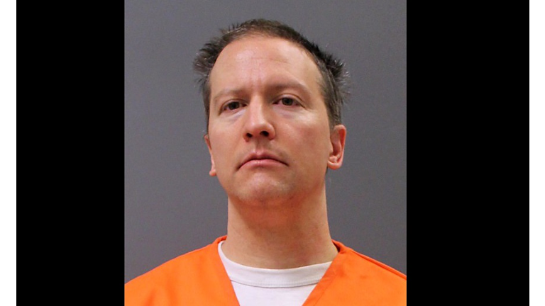 Derek Chauvin Booking Photo