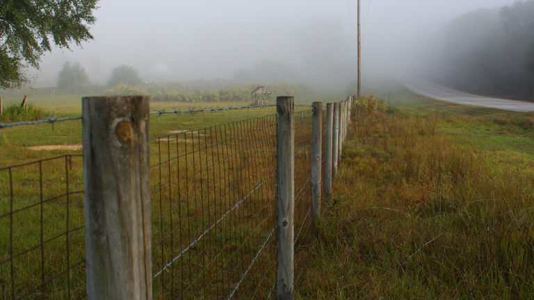 Barbed wire fence along field near a foggy road