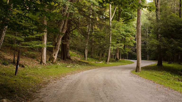 Road Passing Through Forest