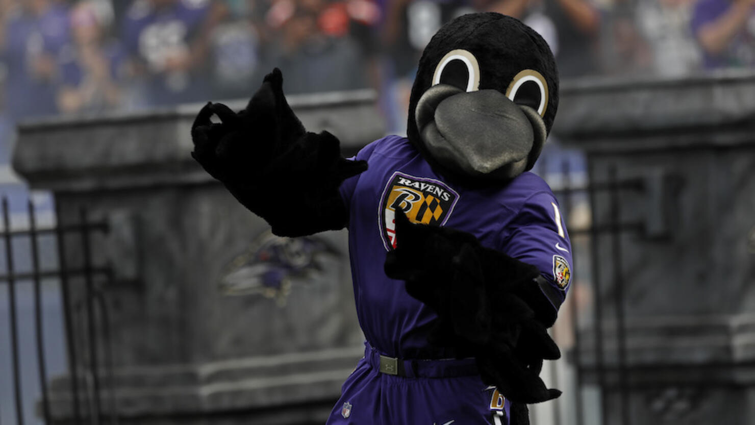 Ravens Mascots  Baltimore Ravens –