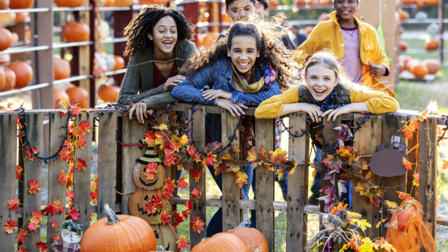 This Is The Best Fall Festival In Tennessee | iHeart