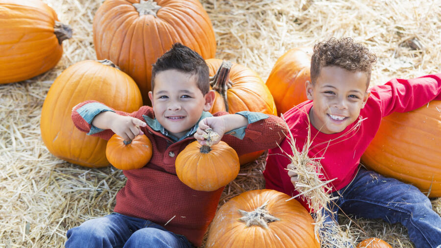 This Is The Best Fall Festival In North Carolina iHeart