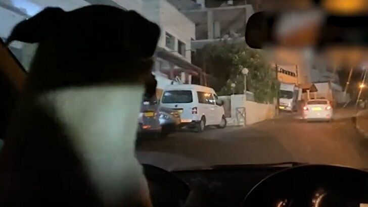 Watch: Israeli Man Arrested for Letting Dog Drive Car
