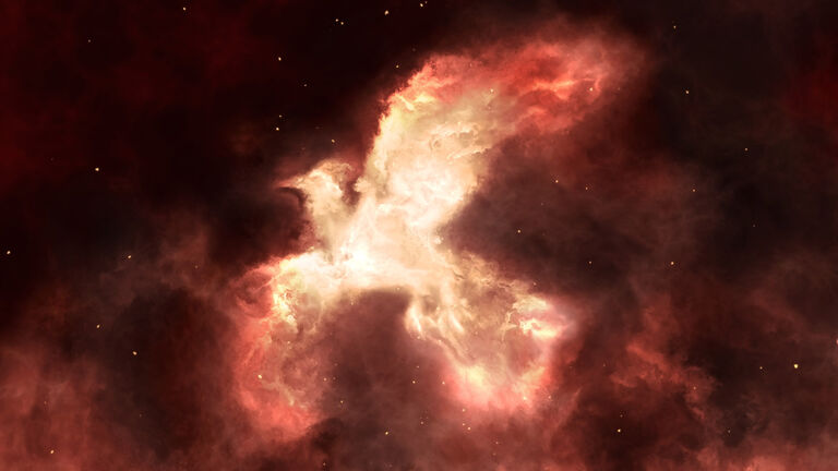 Phoenix rising