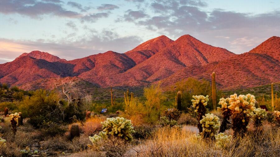 this-is-the-highest-point-in-arizona-iheart