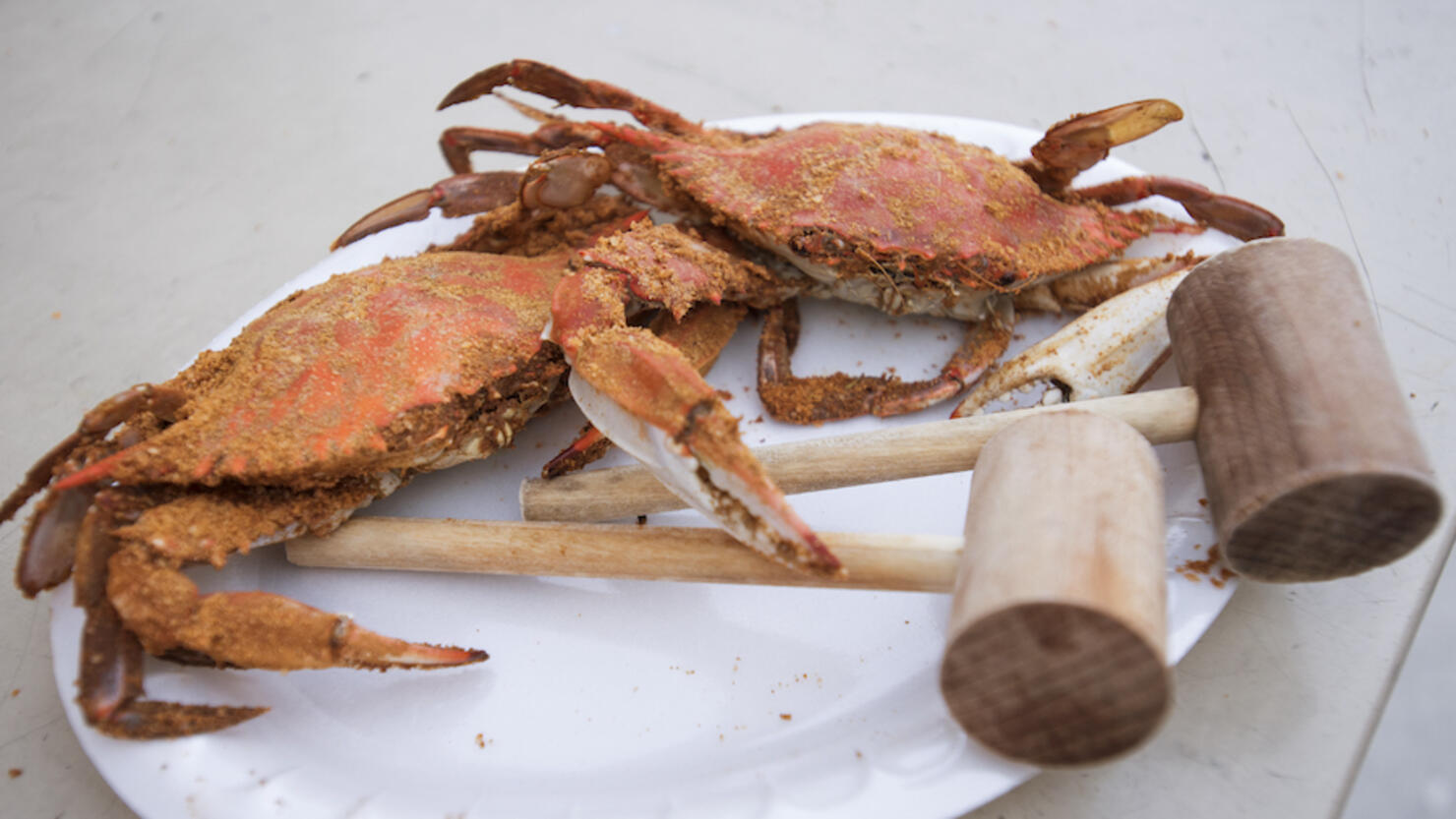 Soft-shell crabs at a restaurant in Annapolis, Maryland. 