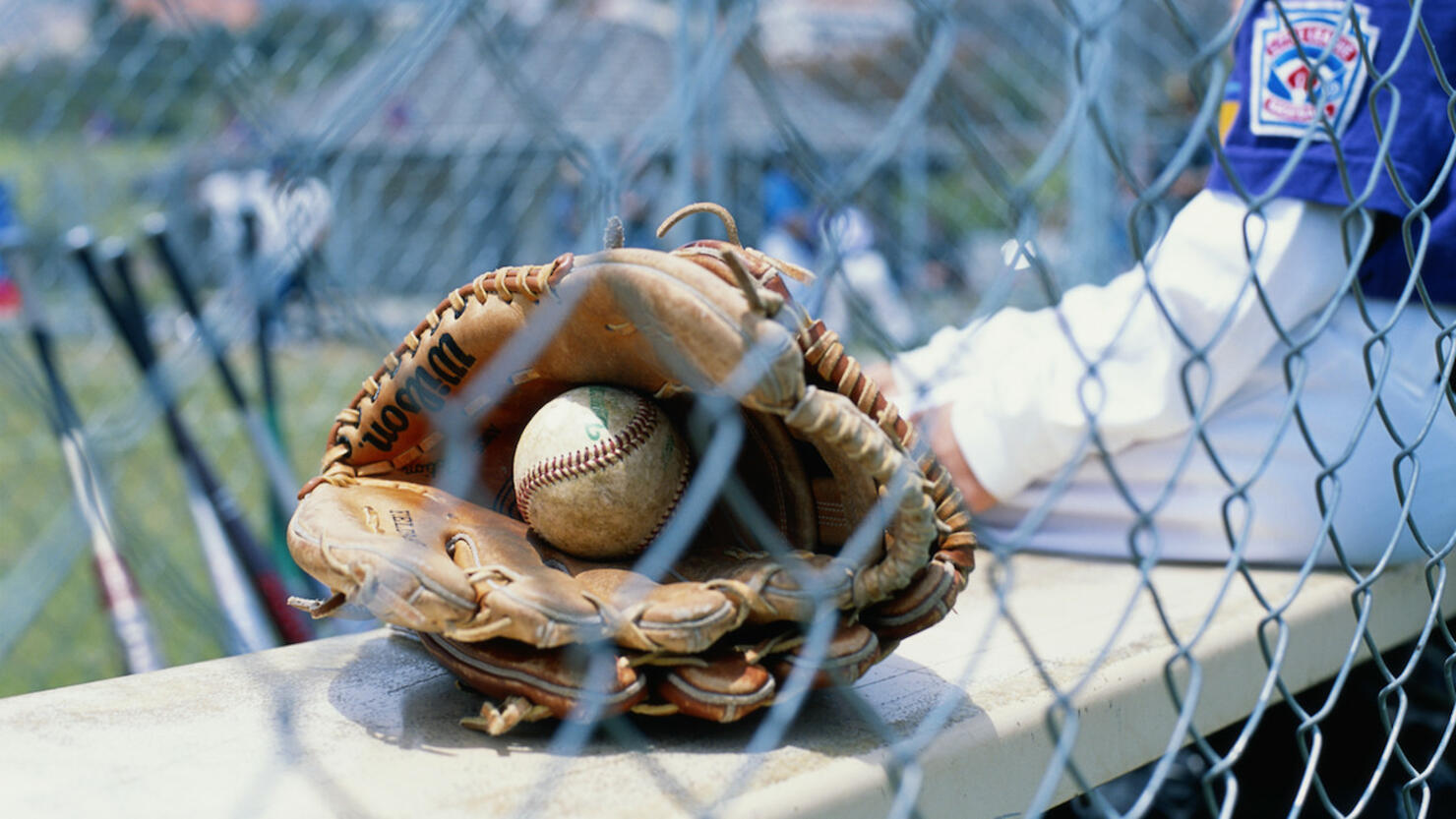 Sportsman by mitt and baseball, rear view