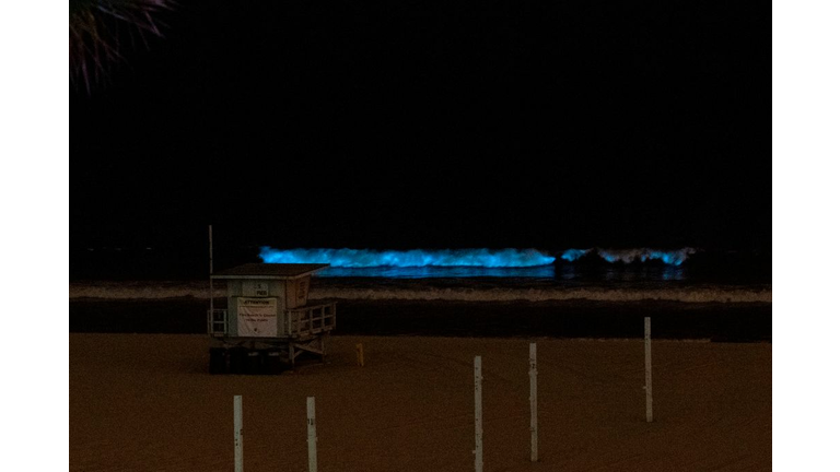 US-OCEAN-WAVES-BIOLUMINESCENCE