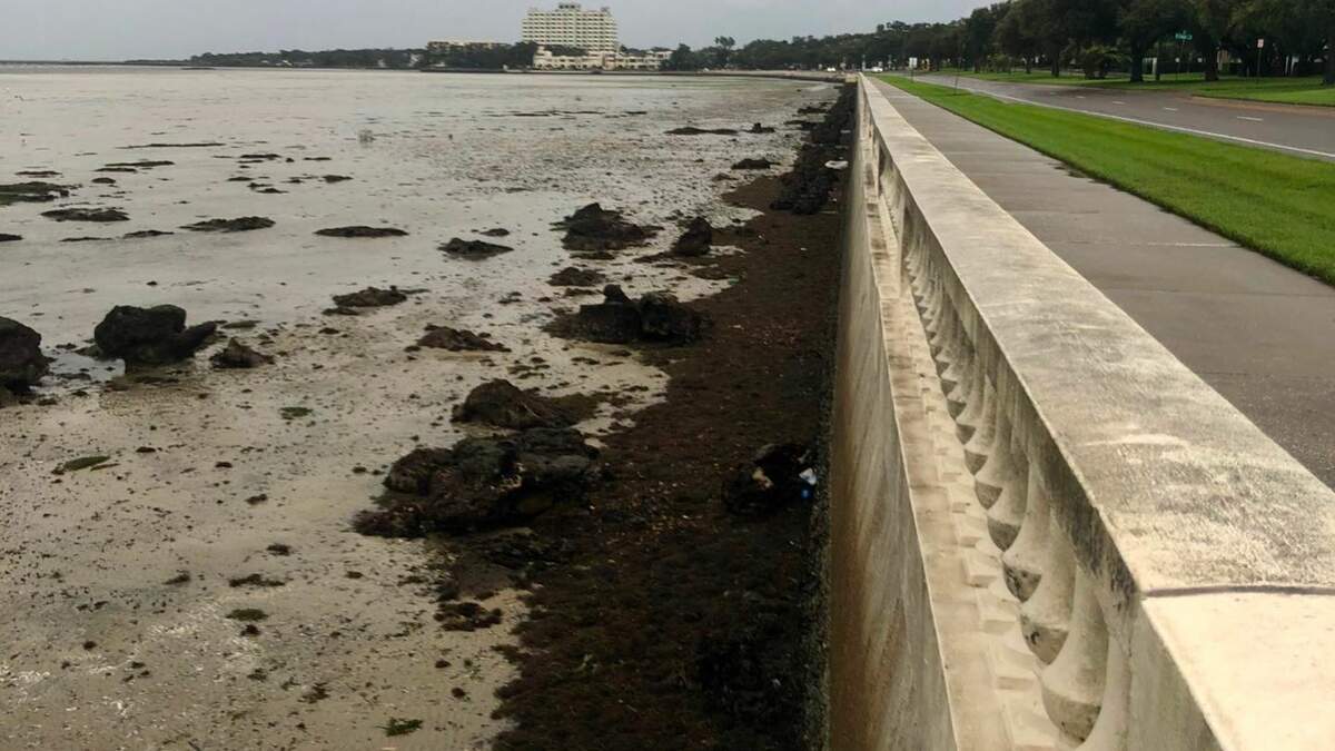 LOOK: Hurricane Ian Sucks Water Out Of Tampa Bay Ahead Of Arrival
