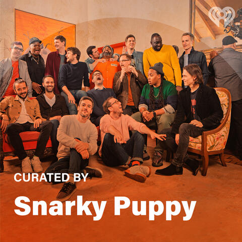 Curated By: Snarky Puppy
