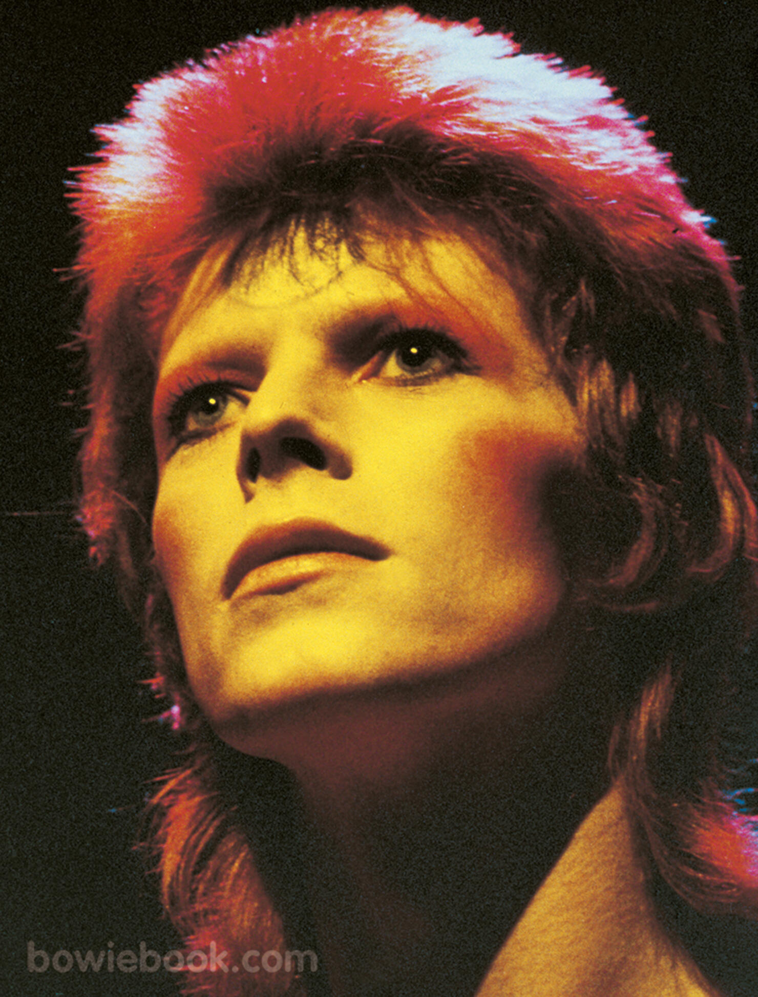 David Bowies Ziggy Stardust Biography Gets Anniversary Edition Reissue Iheart 8630
