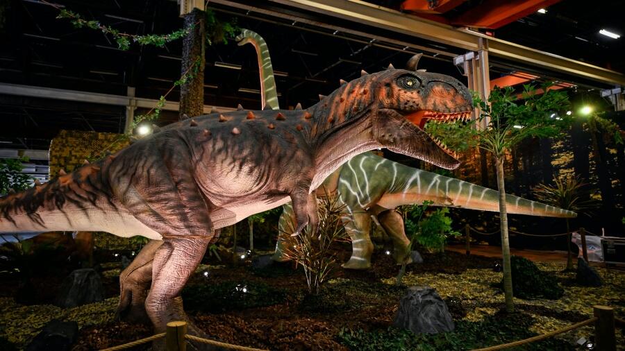 'Dinosaurs In The Desert' Is Back In Arizona And Better Than Ever! | iHeart