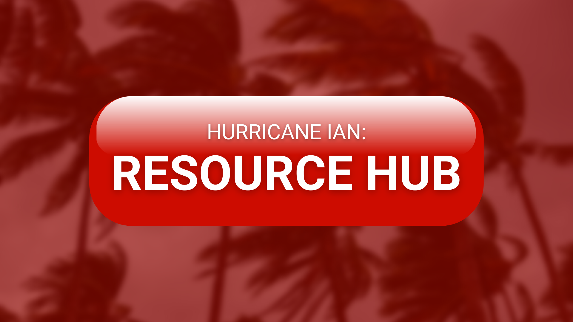 storm resources