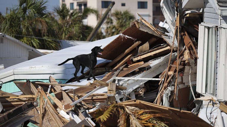 Florida's Southern Gulf Coast Continues Clean Up Efforts In Wake Of Hurricane Ian