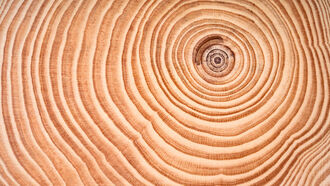 Astrological Predictions / Past Lives in Ancient Lands