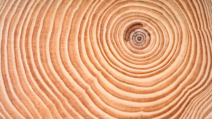 Astrological Predictions / Past Lives in Ancient Lands