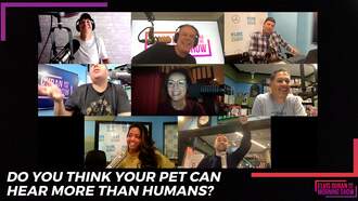  Do You Think Your Pet Can Hear More Than Humans? 