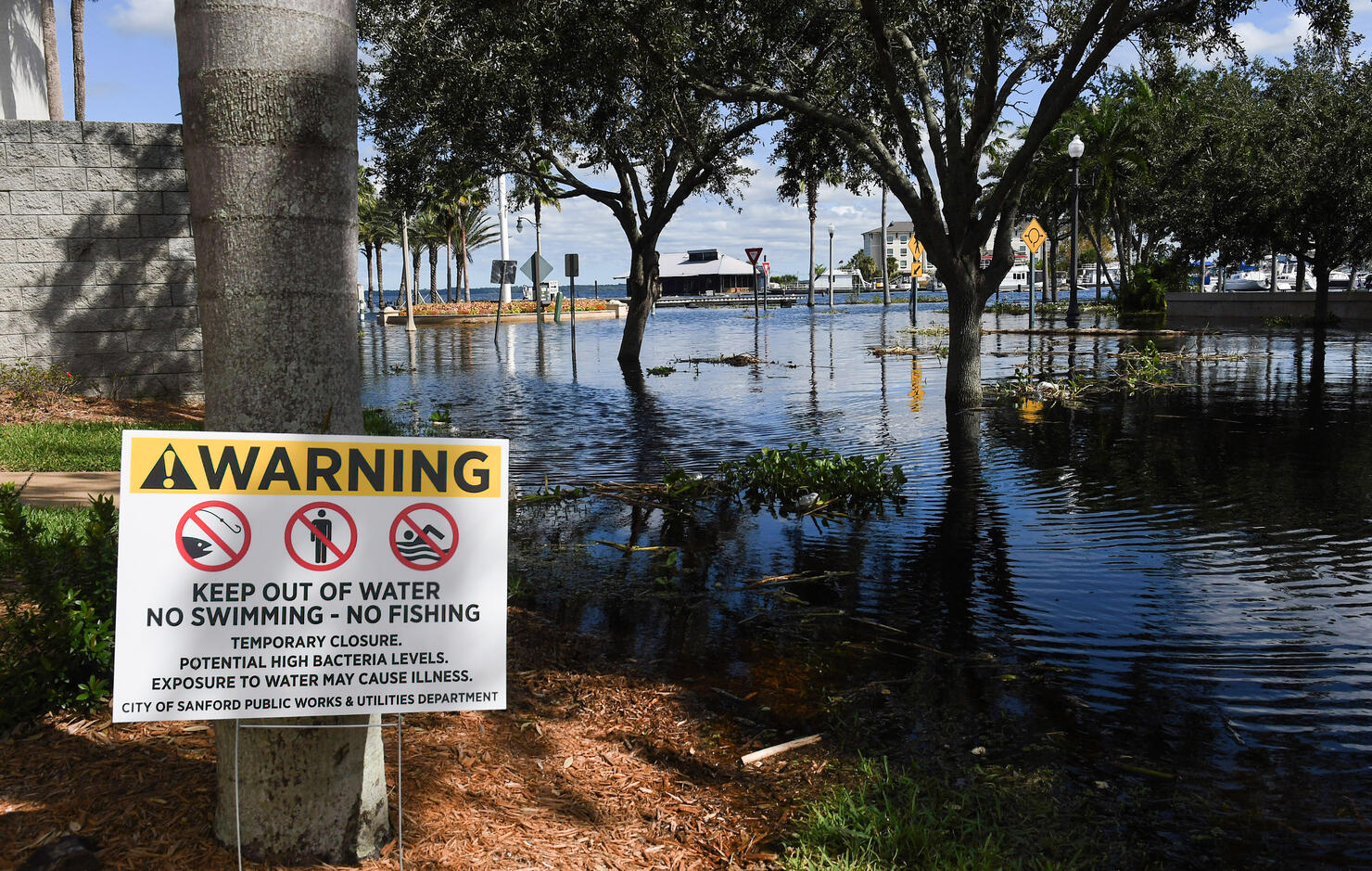 Street flooding is seen near City Hall and the Seminole