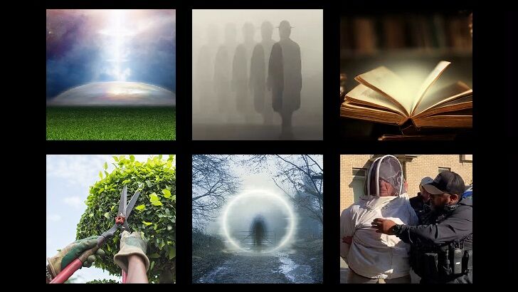 In Coast You Missed It 10/21/22