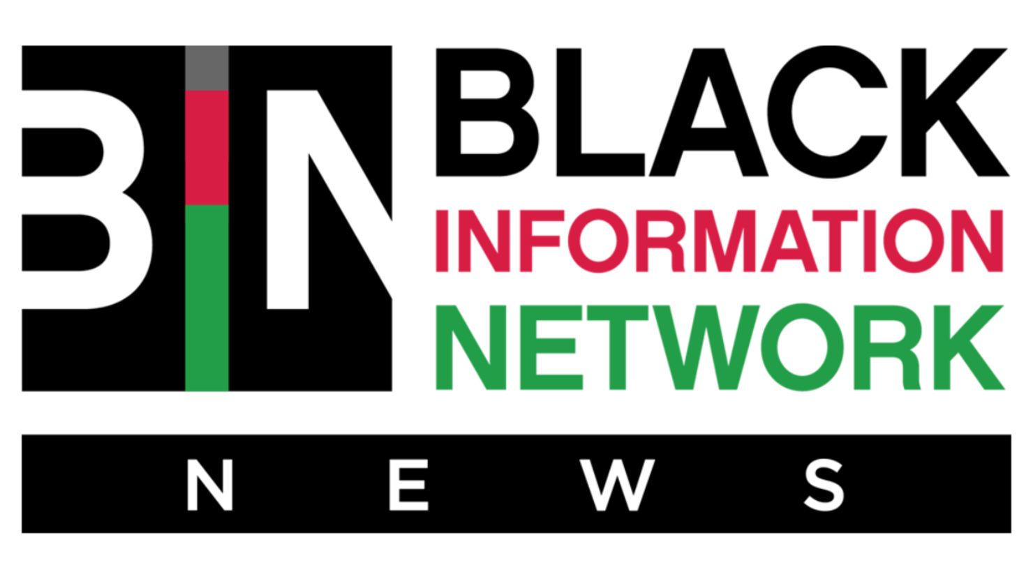 BIN Logo