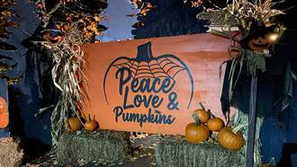 Felicia's trip to Peace, Love & Pumpkins at Bethel Woods! 