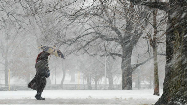 Get The Latest Weather Info