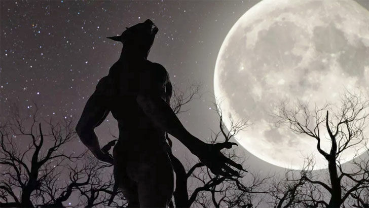 Witches & Witchcraft / Werewolf Lore 