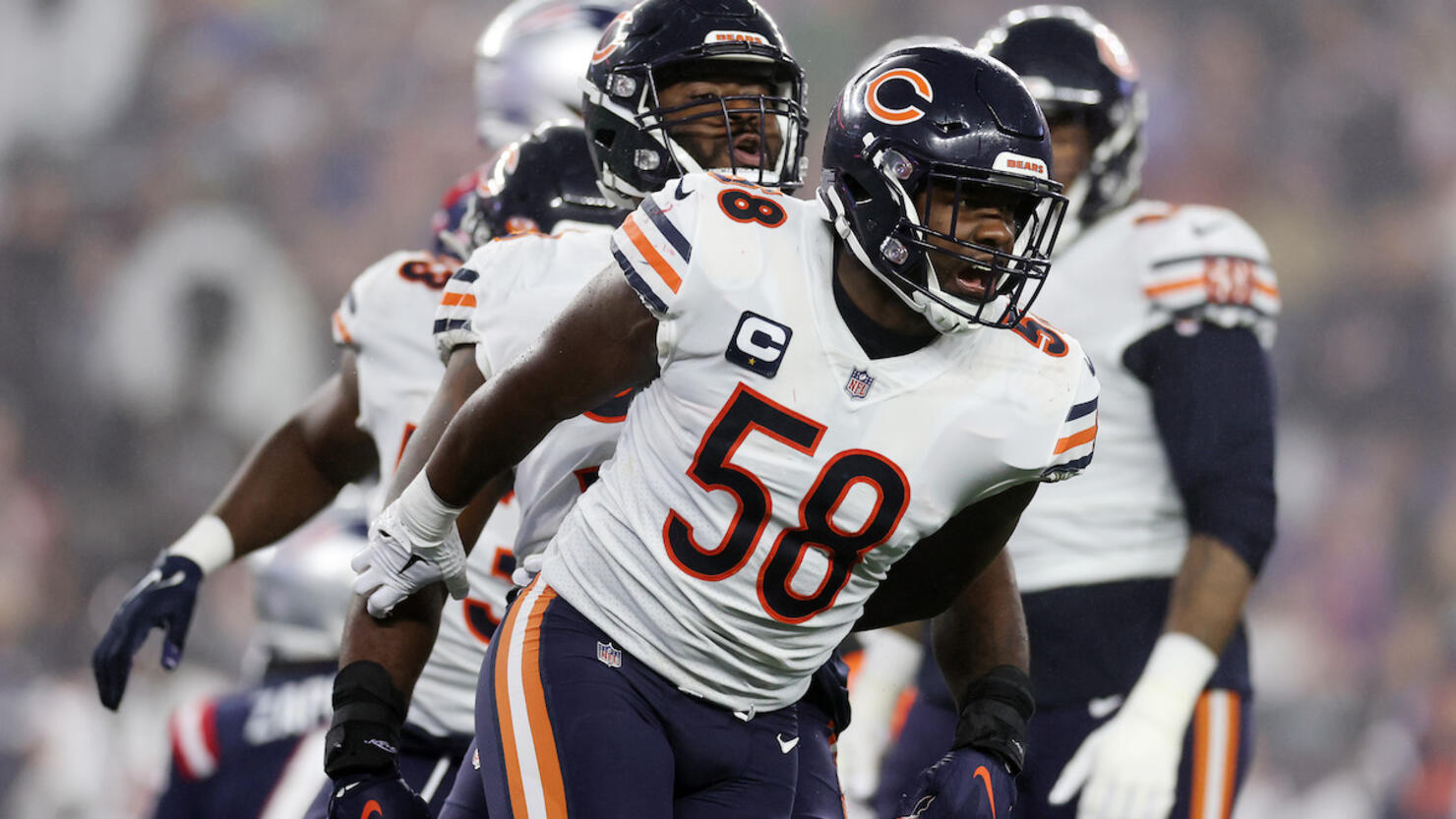 Chicago Bears v New England Patriots