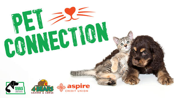 Minot's Pet Connection 