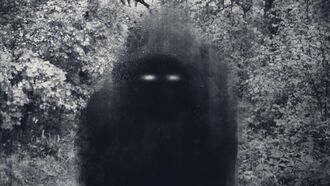 Watch: Small Humanoid with Glowing Eyes Triggers Trail Camera in Australia?