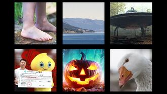 In Coast You Missed It 11/4/22