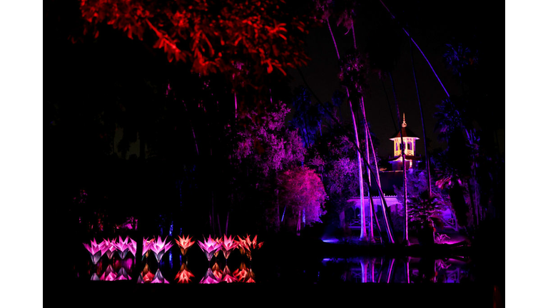 Lightscape At LA Arboretum