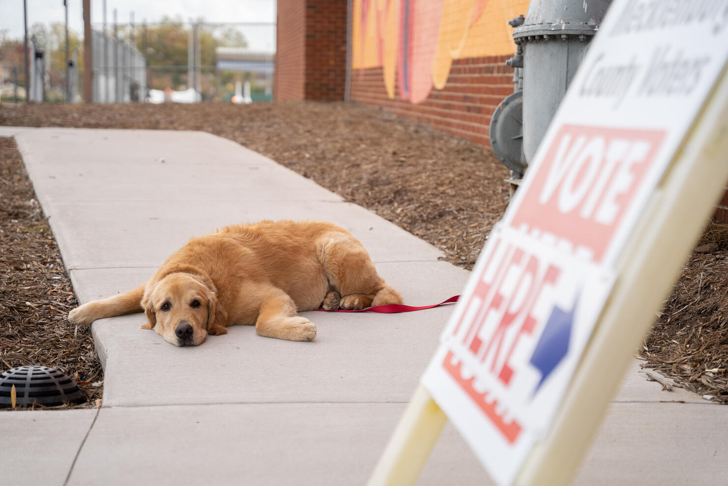 North Carolina Prepares For Upcoming Midterm Elections