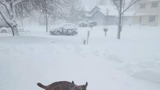 WINTER STORM WARNING ANNOUNCEMENTS/ROAD REPORTS/FORECAST UPDATES