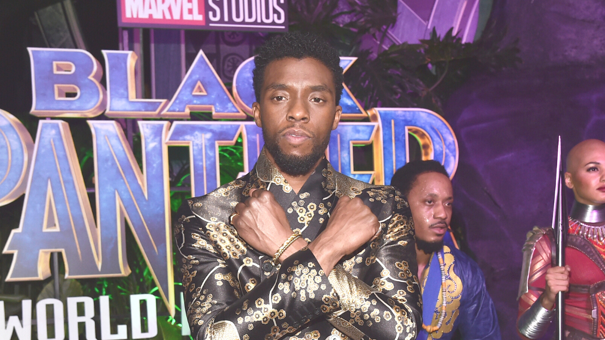 Costume for Black Panther worn by Chadwick Boseman  National Museum of  African American History and Culture