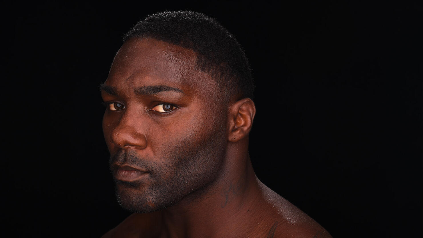 UFC Fighter Portraits