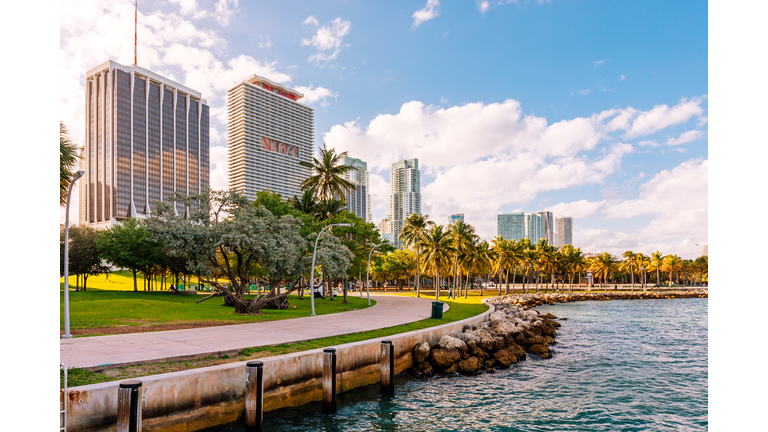 Miami Downtown skyline with skyscrapers and palm trees by the ocean, Florida, USA