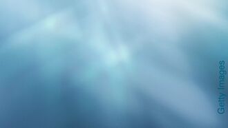 Near-Death Experiences & Cattle Mutilations