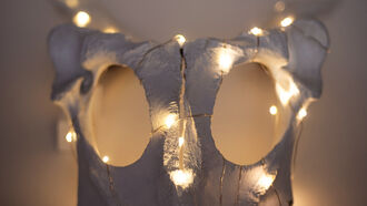 Space Images & Exploration / Ghosts & Animal Spirits