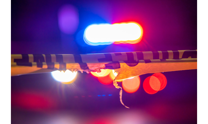 San Francisco Homicide Cases / Inside the Music Business