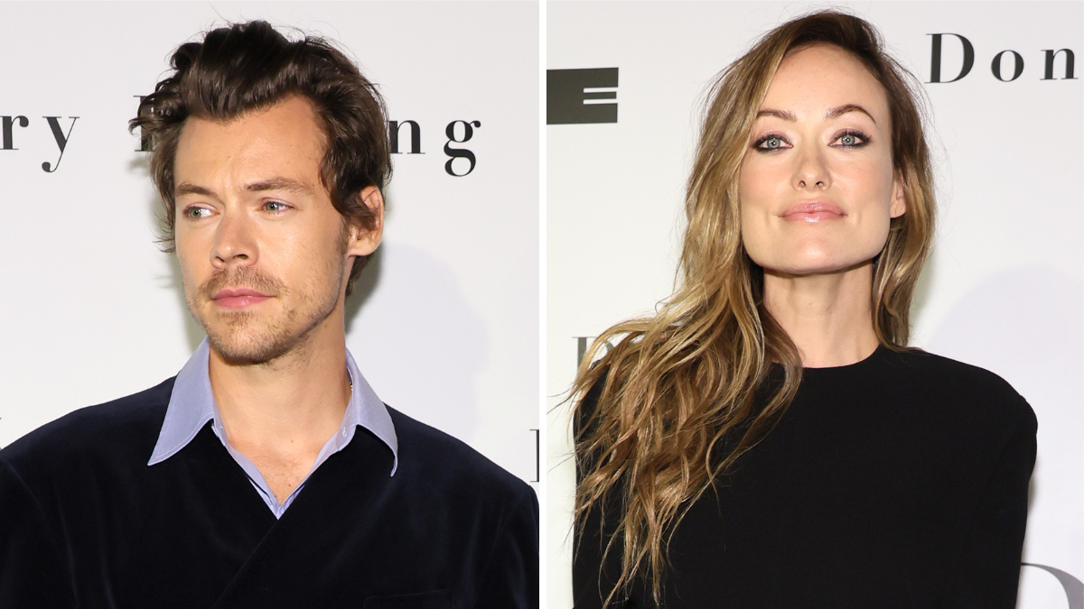 New Details Emerge About Harry Styles & Olivia Wilde's Breakup