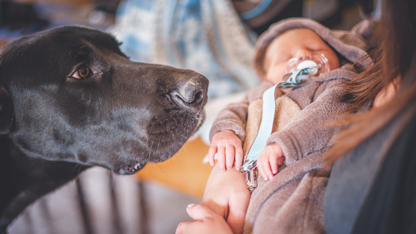 Mom Wants To Give Baby Same Name As Dog, Gets Shamed