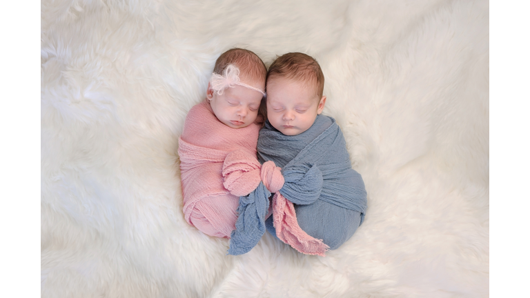 Fraternal Twin Baby Brother and Sister