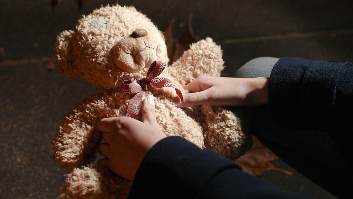 Teddy bear in the night park
