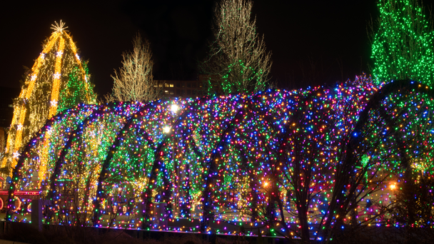 These Are The Best Places To See Holiday Lights In Texas